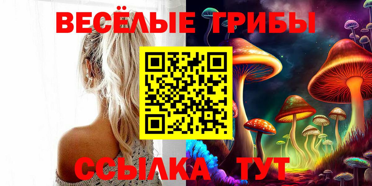 Псилоцибиновые грибы GOLDEN TEACHER Артём